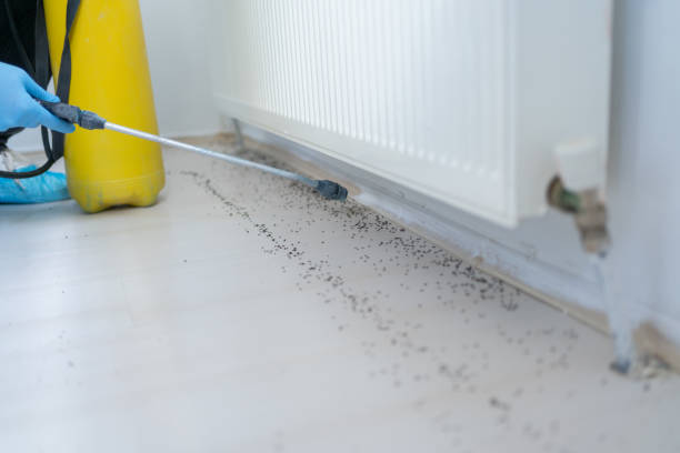 Best Pest Prevention Services  in New Freedom, PA